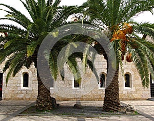 Church of Multiplication, Tabgha, Israel