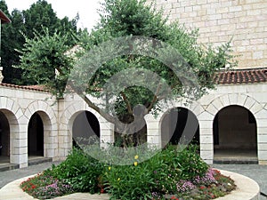 Church of the Multiplication, Tabgha, Israel