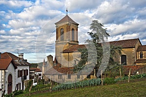 Church of Notre-Dame-de-l-Assomption in La Bastide-Clairence village photo