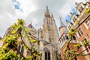 Church of Our Lady, cathedral towers, Bruges, Belgium photo