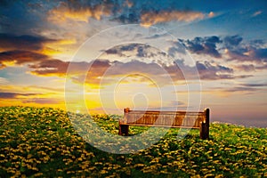 A church pew in a field