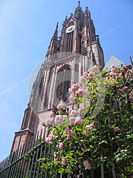 Church and Roses