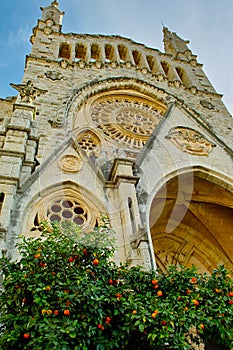 church of Saint Bartholomew in Soler