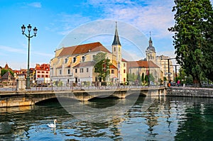 Church of Saint Francois de Sales in Annecy, France. White swan is swimming on Thiou river