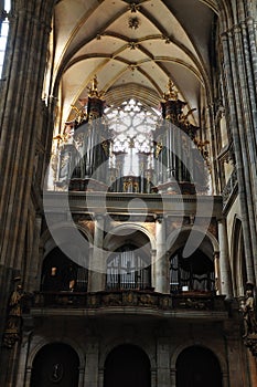 Church Saint Vitus Cathedral in Prague
