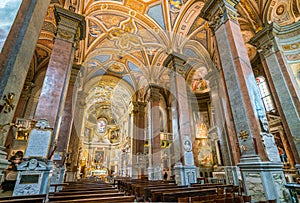 Church of Santa Maria dell`Anima, in Rome, Italy.