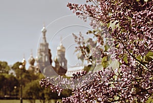 Church of the Saviour on Spilled Blood or Cathedral of the Resurrection of Christ, St. Petersburg, Russia