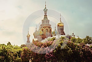 Church of the Saviour on Spilled Blood or Cathedral of the Resurrection of Christ St. Petersburg, Russia