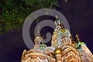 Church of the Saviour on Spilled Blood (Spas na Krovi), St. Pete