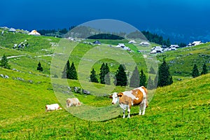 Church in the Slovenia big plateau pasture Velika Planina. Chapel on the hill, religion symbol.Dramatic mystic clouds and colors