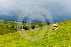 Church in the Slovenia big plateau pasture Velika Planina. Chapel on the hill, religion symbol.Dramatic mystic clouds and colors