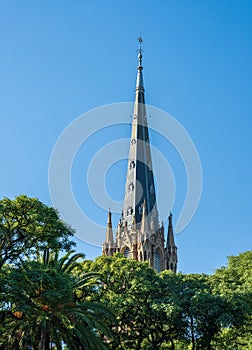 Church spire of the San Isidro Cathedral behind leaves