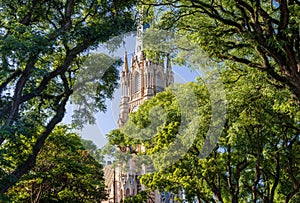 Church spire of the San Isidro Cathedral behind leaves