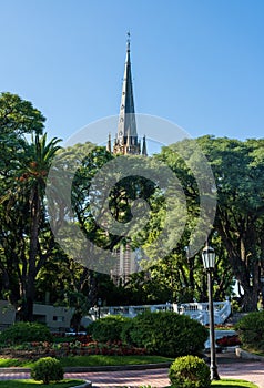 Church spire of the San Isidro Cathedral behind leaves