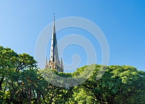 Church spire of the San Isidro Cathedral behind leaves