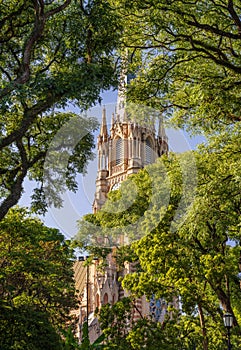 Church spire of the San Isidro Cathedral behind leaves