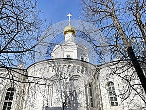 The Church of St. Basil the Confessor behind the Rogozhskaya outpost, 19th century