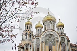 Church of St. Constantine and Michael in Vilnius in cherry bloom