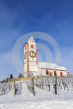 Church St. Moritz over the snow-covered vine yard in winter, Hallau