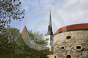 Church of St. Olaf and Fat Margaret tower in Tallinn. Estonia