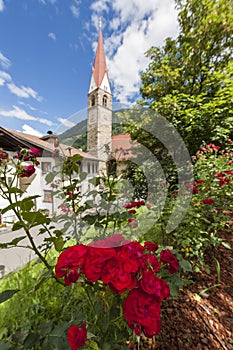 Church of St Pankraz behind roses