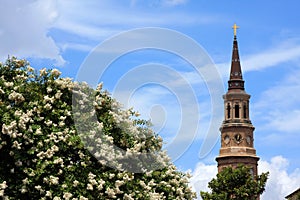 Church steeple and flowers photo