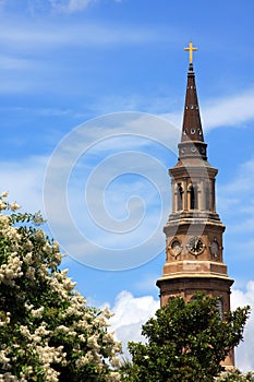 Church steeple and flowers photo