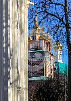 Church and tree in sunny day.