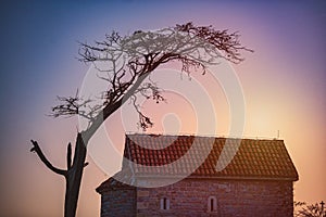 Church and tree at sunset in Montenegro