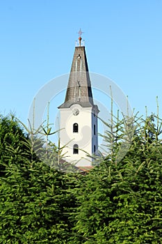 Church in village Smizany in Slovakia