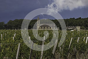 Church in the vineyards of the haute medoc
