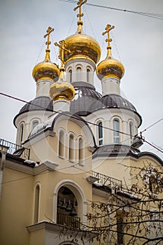 Church of Xenia of Petersburg on the Petrograd side