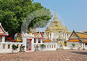 Churches with cathedrals Wat Pho