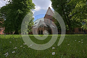 Churchyard of the historic Luebeck Cathedral, view through old trees to the Narthex called Paradise, which is built with open