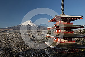 Chureito Pagoda and Mt. Fuji in the Morning after Snow, Japan