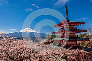 Chureito Pagoda and Mt. Fuji in the spring time with cherry blossoms at Fujiyoshida, Japan. Mount Fuji is Japan tallest mountain