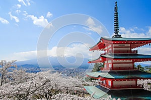 Chureito red Pagoda with beautiful Cherry Blossom or pink Sakura flower tree and Mount Fuji against blue sky. Spring Season at