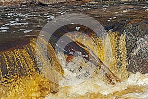 Churning Waters at a River Chute