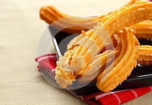 Churros or Spanish Dougnut