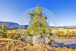 Chuya River in the Altai Mountains