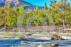 Chuya River in the Altai Mountains