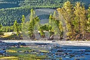 Chuya River in the Altai Mountains