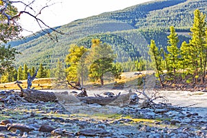 Chuya River in the Altai Mountains