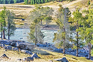 Chuya River in the Altai Mountains