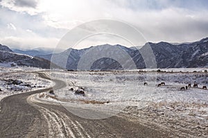 Chuysky tract in the mountains of Altai