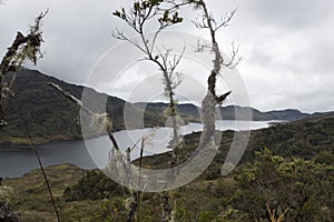 Chuza reservoir lake viewed throug an old branches