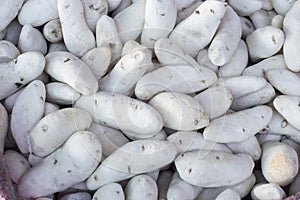 ChuÃÂ±o freeze-dried potato product made by Quechua and Aymara in Peru. Also called papas secas, tunta photo