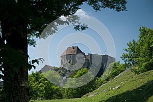 ChÃÂ¢teau de Joux