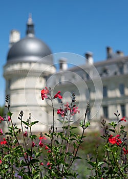 ChÃ¢teau de ValenÃ§ay in the Loire Valley, central France. Photographed from the garden on a clear day.