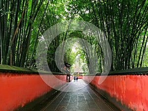 ChÃ©ngdÅ« wÇ” hÃ³u cÃ­, hÃ³ng qiÃ¡ng yÇ” zhÃºlÃ­n. 12/5000 Chengdu Wuhou Temple, red wall and bamboo forest.